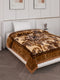 Printed Single Bed 1 Ply 440 GSM Blanket for Winter (Tiva), Weight 1.4 kg