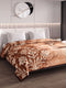 Printed Double Bed 2 Ply 550 GSM Blanket for Winter (Tradition), Weight 3 kg
