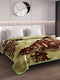 Printed Double Bed 2 Ply 550 GSM Blanket for Winter (Tradition), Weight 3 kg