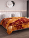 Printed Double Bed 2 Ply 550 GSM Blanket for Winter (Tradition), Weight 3 kg