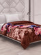 Printed Single Bed 2 Ply 700 GSM Blanket for Winter (Wade), Weight 3.7 kg