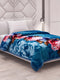 Printed Single Bed 2 Ply 700 GSM Blanket for Winter (Wade), Weight 3.7 kg