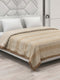 Printed Double Bed 2 Ply 470 GSM Blanket for Winter (Winston), Weight 2.5 kg