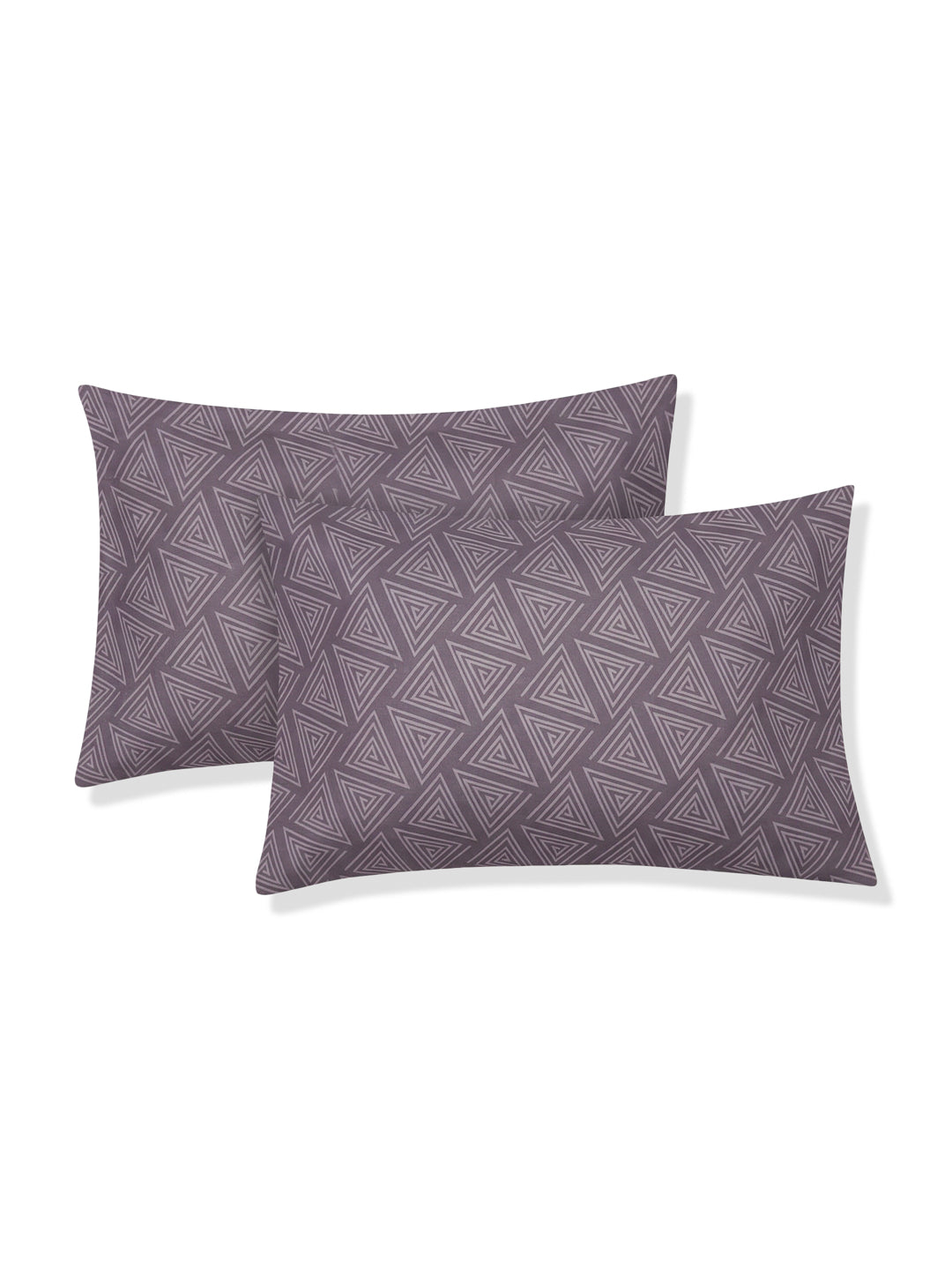110 GSM Polyester Double Bed Bedsheet with 2 Pillow Covers Aromatica Collection