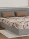 110 GSM Polyester Double Bed Bedsheet with 2 Pillow Covers Aromatica Collection