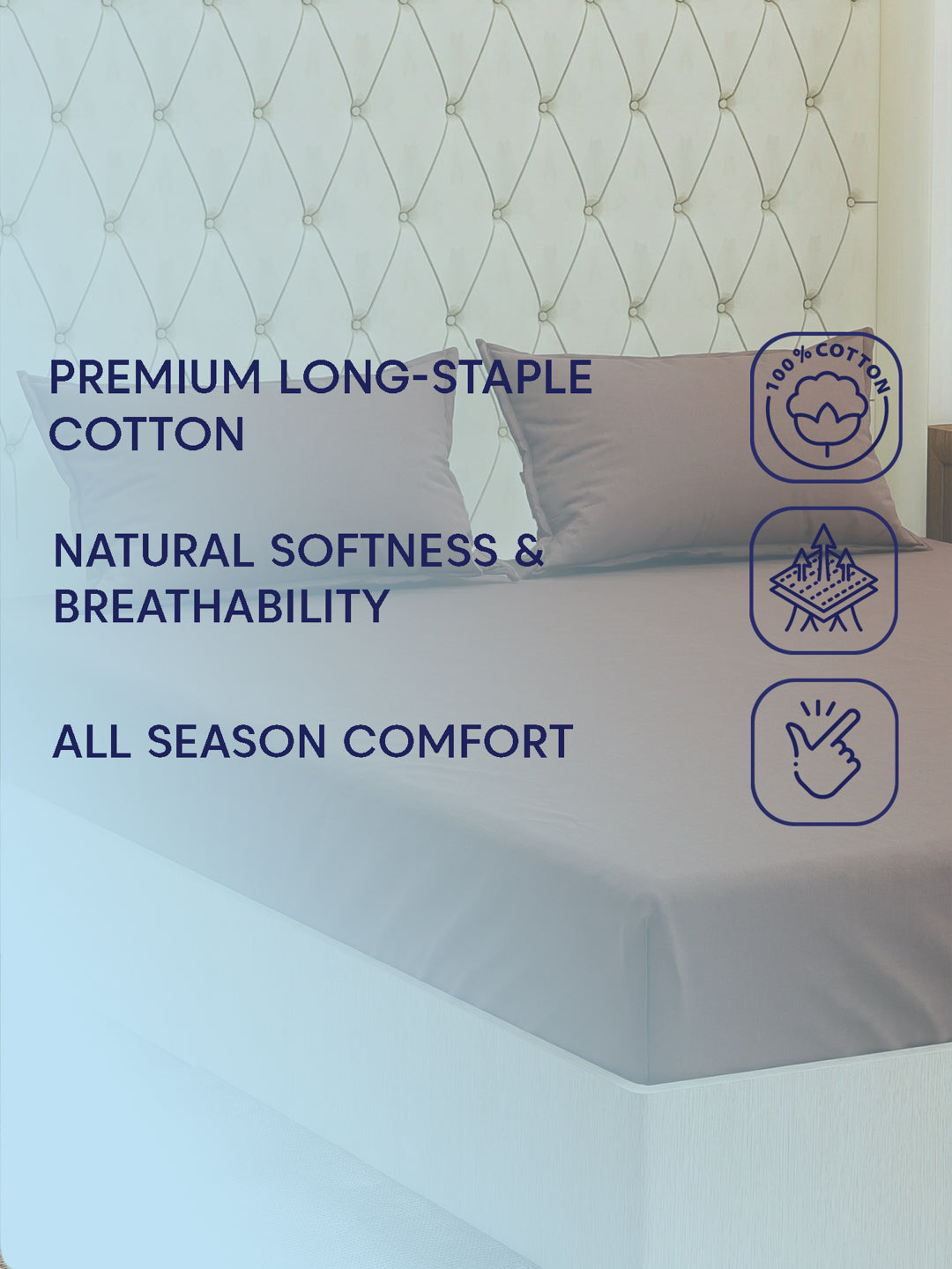 Premium 210 TC Pure Cotton King Size Bedsheet with 2 Pillow Covers Classique Casa Solids Collection