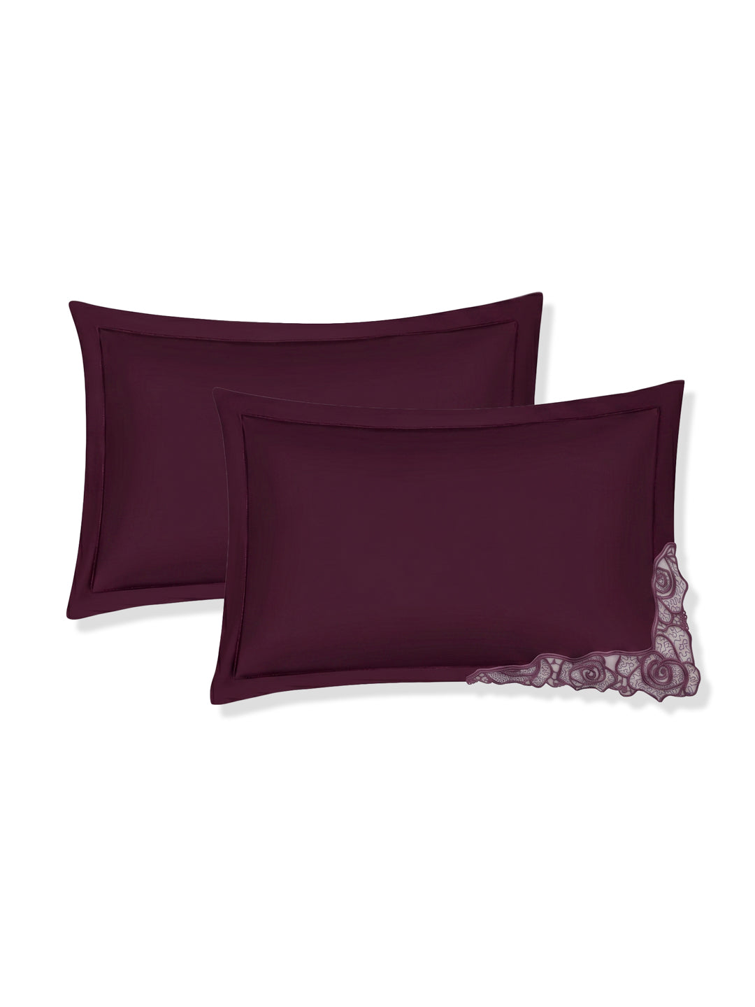Luxury 400 TC Pure Cotton King Size Bedsheet with 2 Pillow Covers Lace Magic Collection