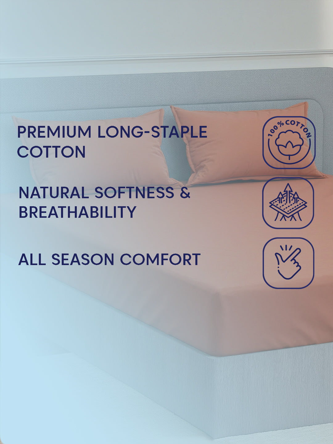 Luxury 400 TC Pure Cotton King Size Bedsheet with 2 Pillow Covers Lace Magic Collection