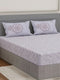 144 TC Pure Cotton King Size Bedsheet with 2 Pillow Covers Sensations Collection