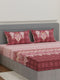 144 TC Pure Cotton King Size Bedsheet with 2 Pillow Covers Tradition Collection
