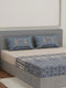 144 TC Pure Cotton King Size Bedsheet with 2 Pillow Covers Tradition Collection