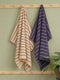 Navy Blue & Light Beige 100% Cotton Solid 480 GSM Bath Towel King & Queen 2 Pc Set Gifting Box Pack