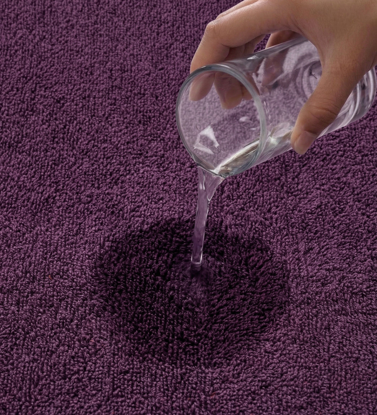 Purple Pure Cotton Solid 450 GSM Bath Towel 1 Piece (Oasis Collection)