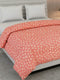 Floral Print Double Bed 3 Ply 105 GSM Comforter Timeless Collection Weight 1.6 kg