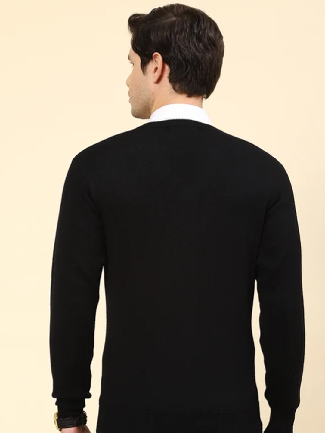 Monte Carlo Men Solid V Neck Full Sleeve Pullover