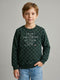 Boys Green Printed Round Neck Full Sleeve Sweatshirt
