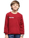 Boys Maroon Printed Round Neck Full Sleeve Sweatshirt