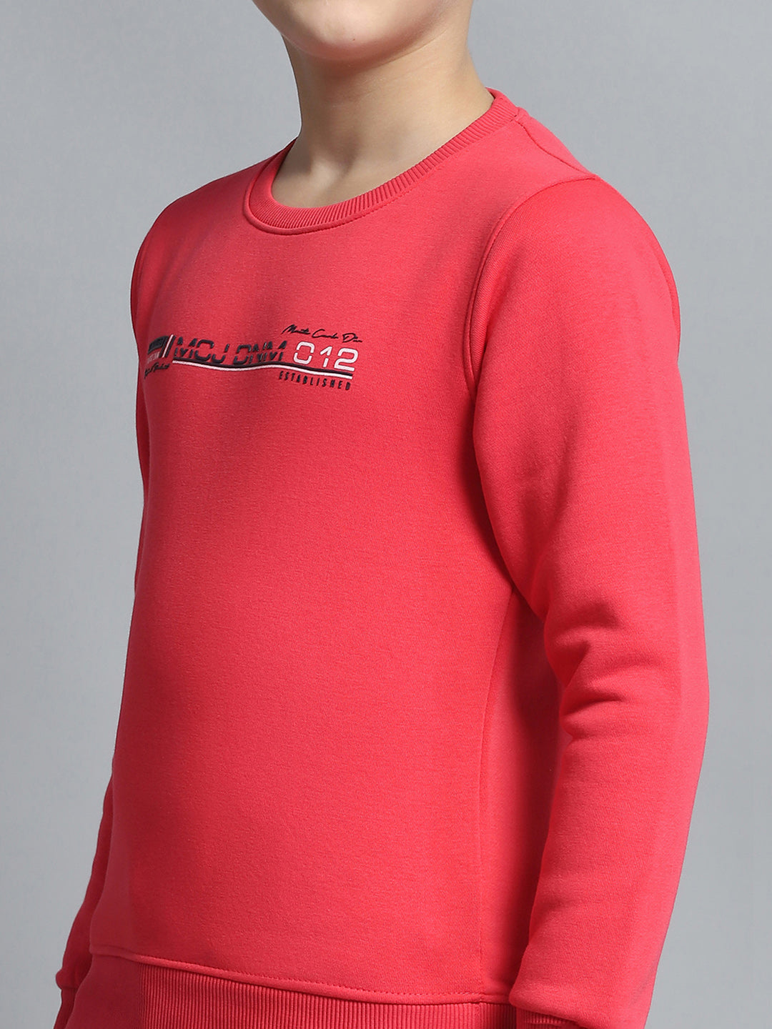 Boys Pink Printed Round Neck Full Sleeve Pullover