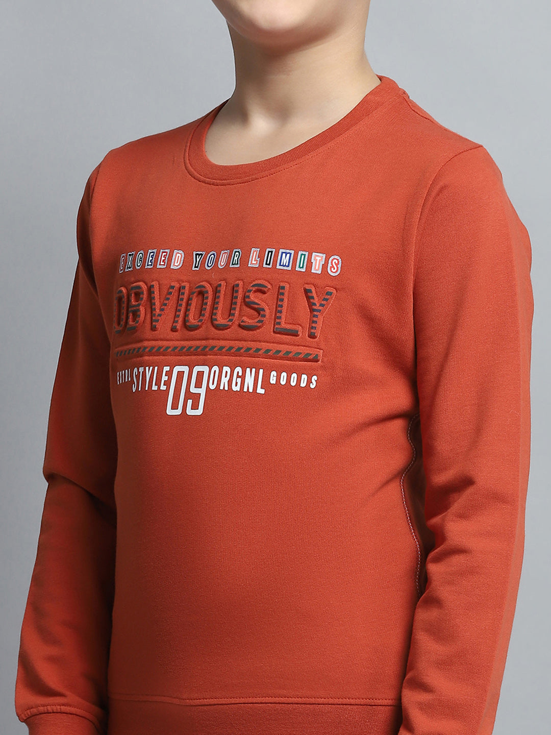 Boys Rust Printed Round Neck Full Sleeve Pullover