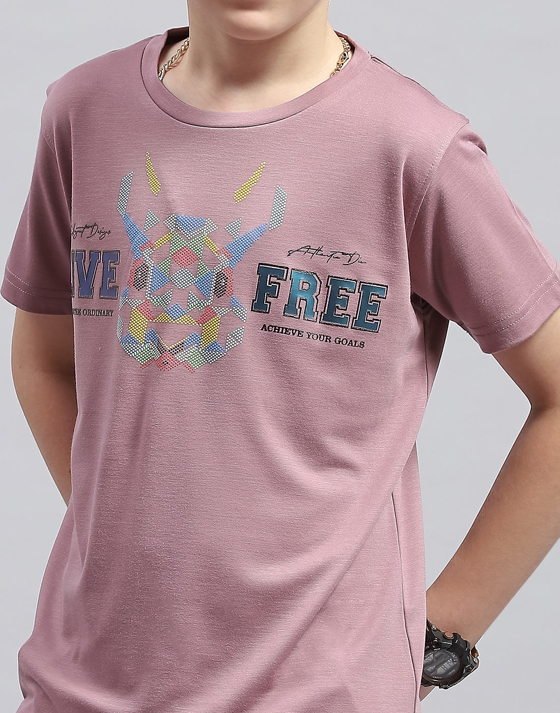 Boys Pink Printed Round Neck Half Sleeve T-Shirt