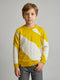 Boys Mustard Self Design Round Neck Full Sleeve Pullover