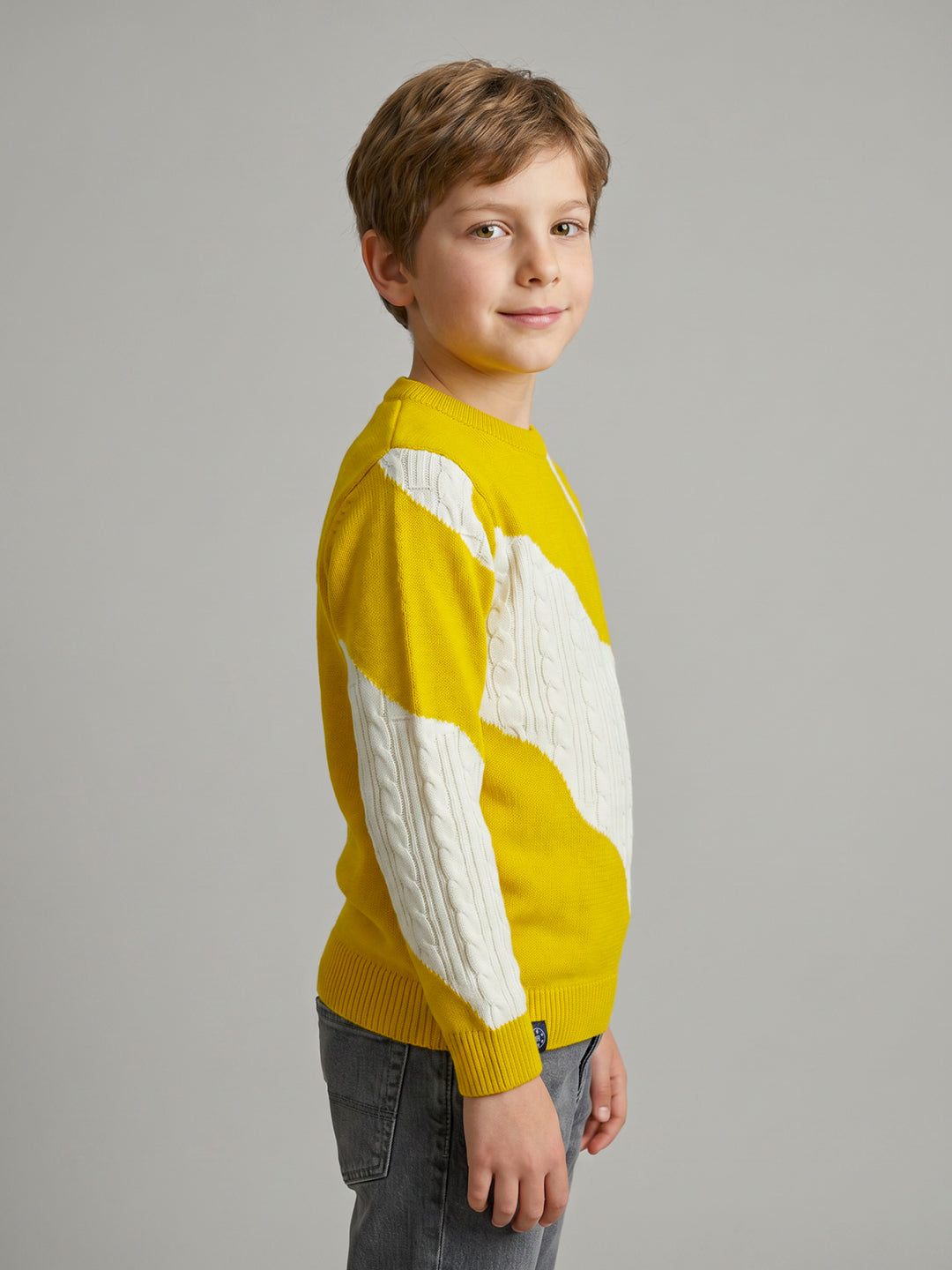 Boys Mustard Self Design Round Neck Full Sleeve Pullover