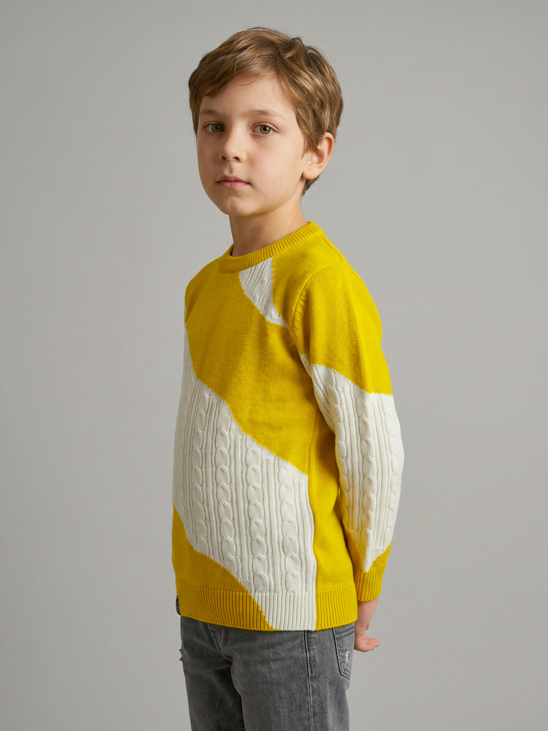Boys Mustard Self Design Round Neck Full Sleeve Pullover