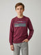 Boys Maroon Printed Round Neck Full Sleeve Sweatshirt
