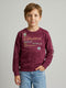 Boys Maroon Printed Round Neck Full Sleeve Sweatshirt