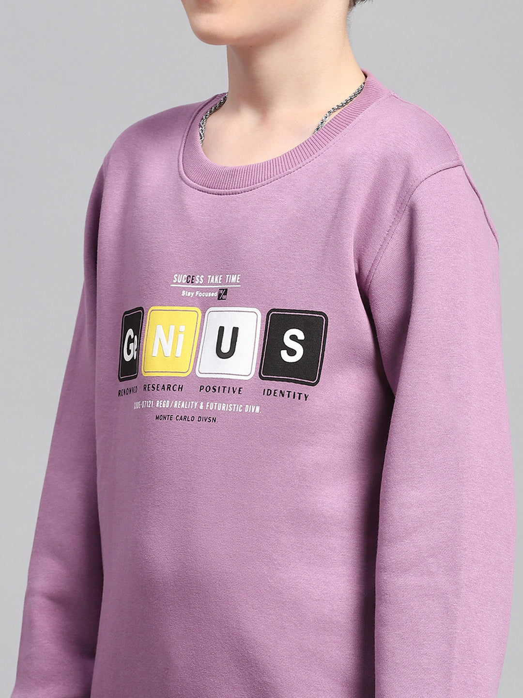 Boys Mauve Printed Round Neck Full Sleeve Sweatshirt