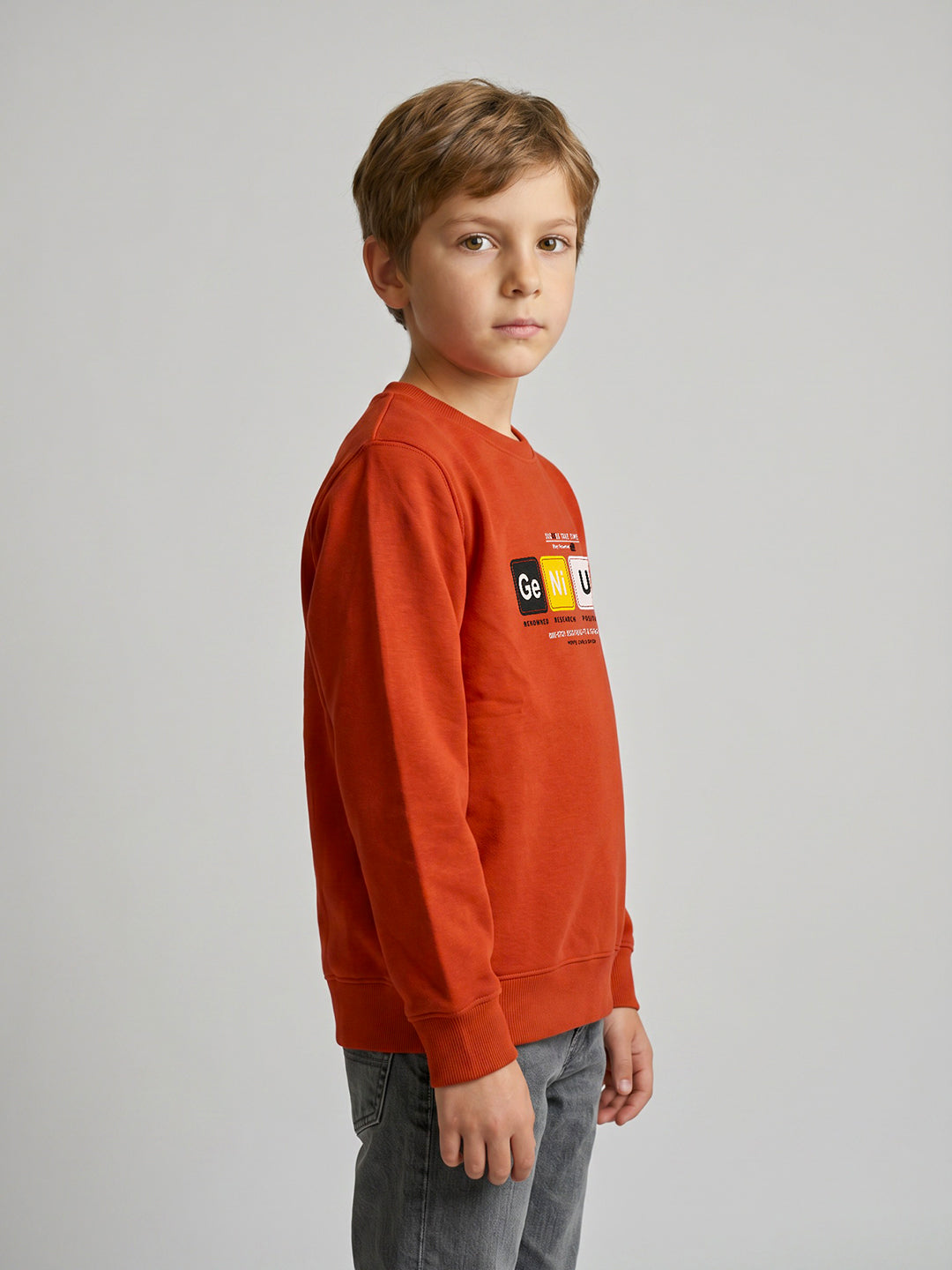 Boys Rust Printed Round Neck Full Sleeve Sweatshirt
