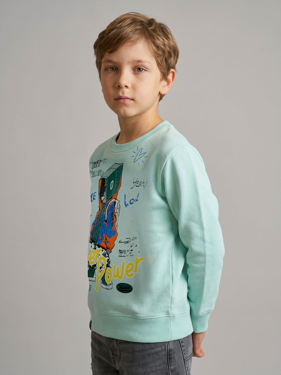 Boys Blue Printed Round Neck Full Sleeve Sweatshirt