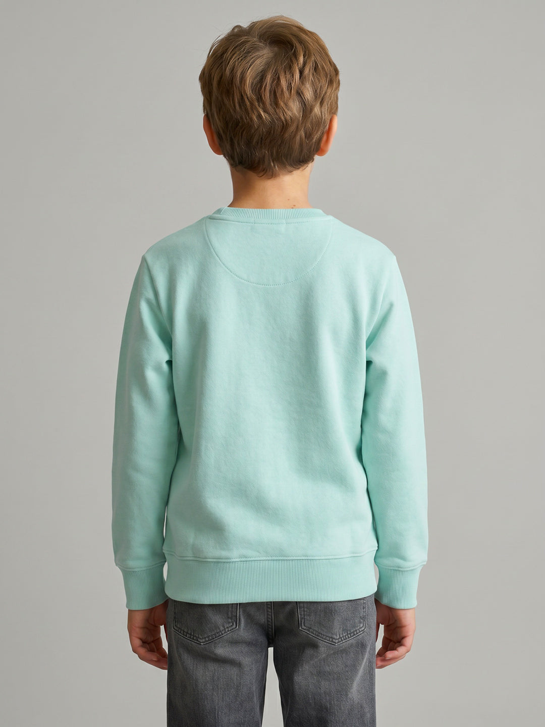 Boys Blue Printed Round Neck Full Sleeve Sweatshirt