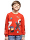 Boys Orange Printed Round Neck Full Sleeve Sweatshirt