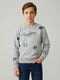 Boys Grey Printed Round Neck Full Sleeve Sweatshirt
