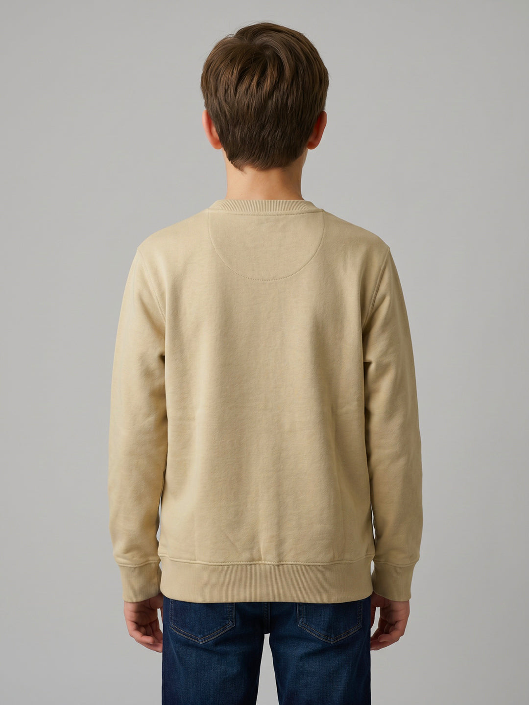 Boys Beige Printed Round Neck Full Sleeve Sweatshirt