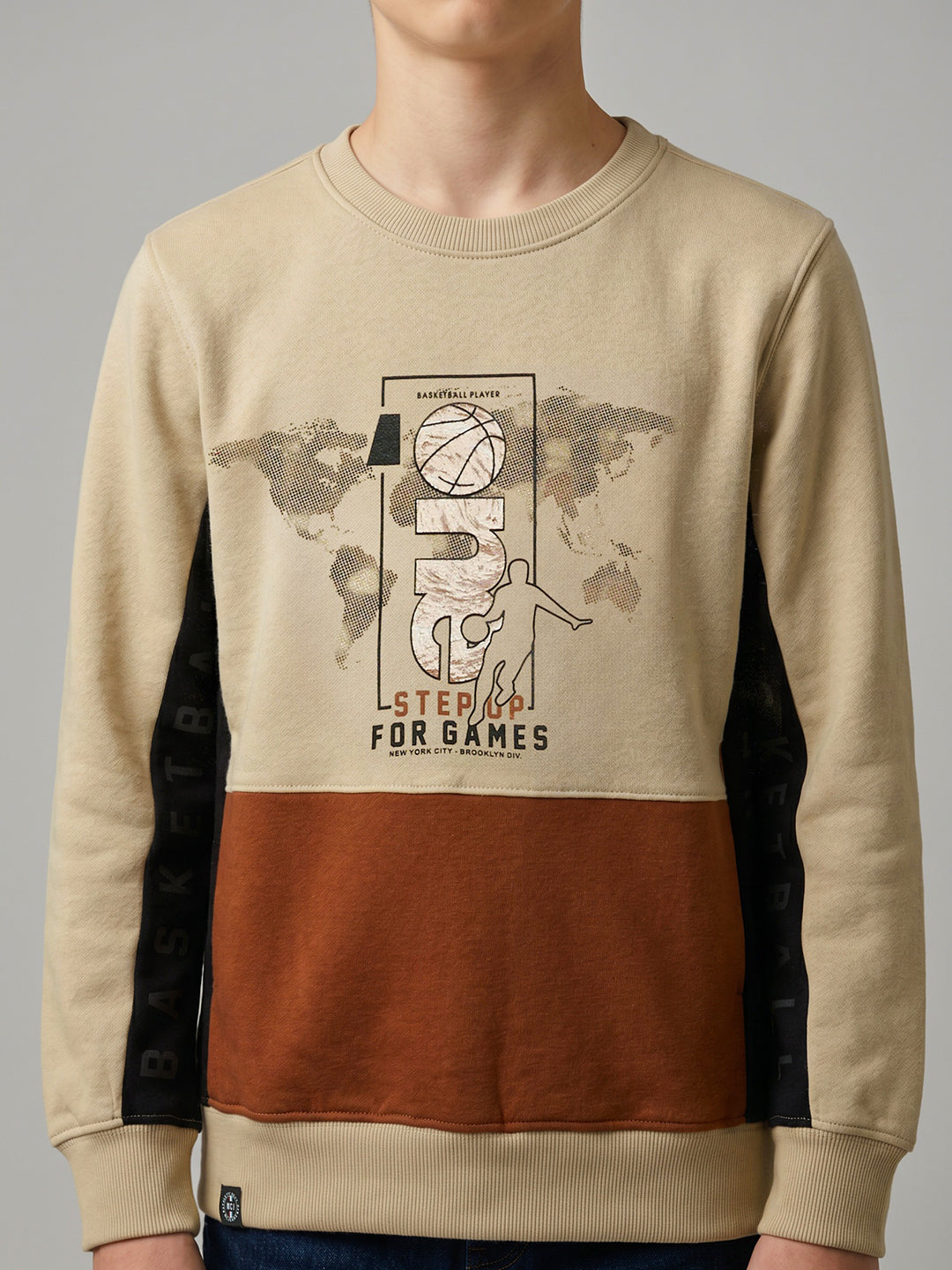 Boys Beige Printed Round Neck Full Sleeve Sweatshirt