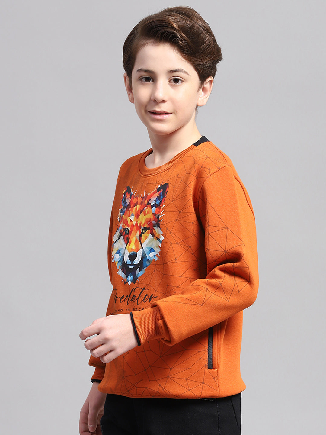Boys Rust Printed Round Neck Full Sleeve Sweatshirt