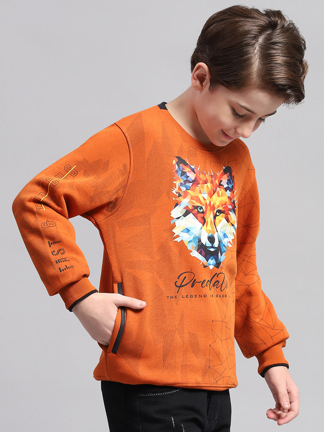 Boys Rust Printed Round Neck Full Sleeve Sweatshirt