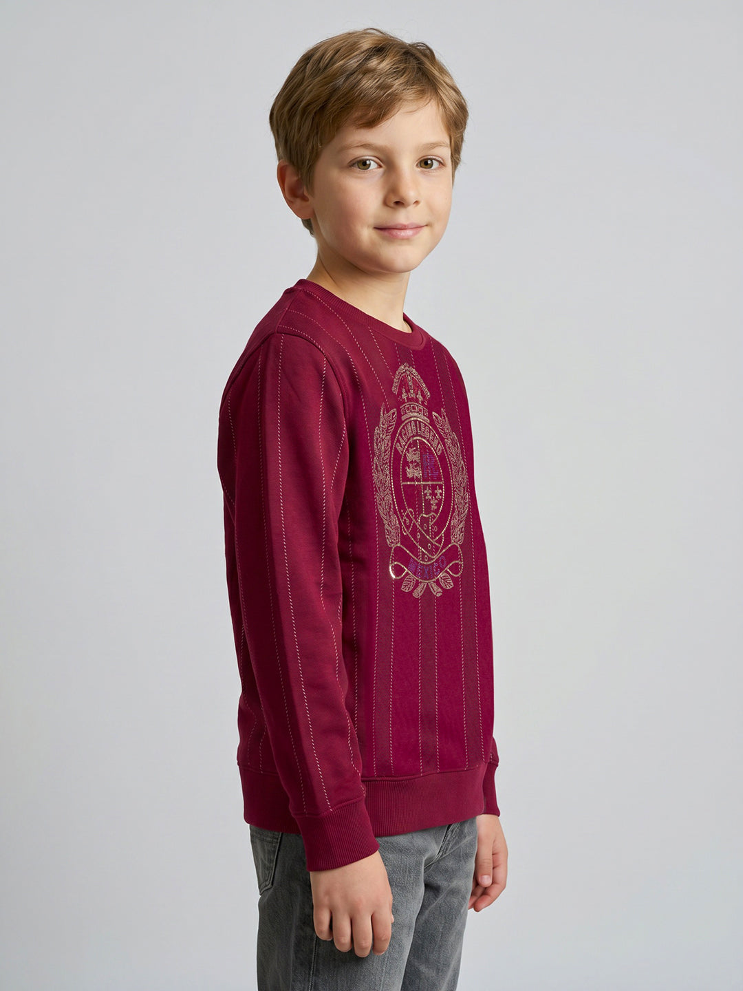 Boys Maroon Embellished Round Neck Full Sleeve Sweatshirt