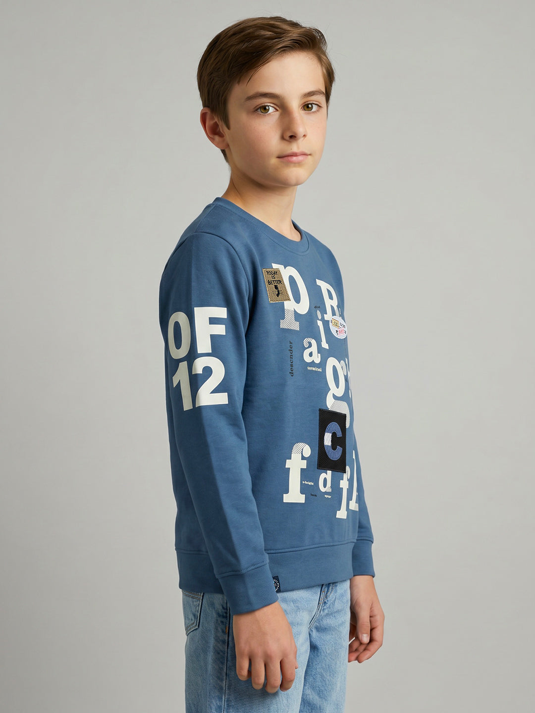 Boys Blue Printed Round Neck Full Sleeve Sweatshirt