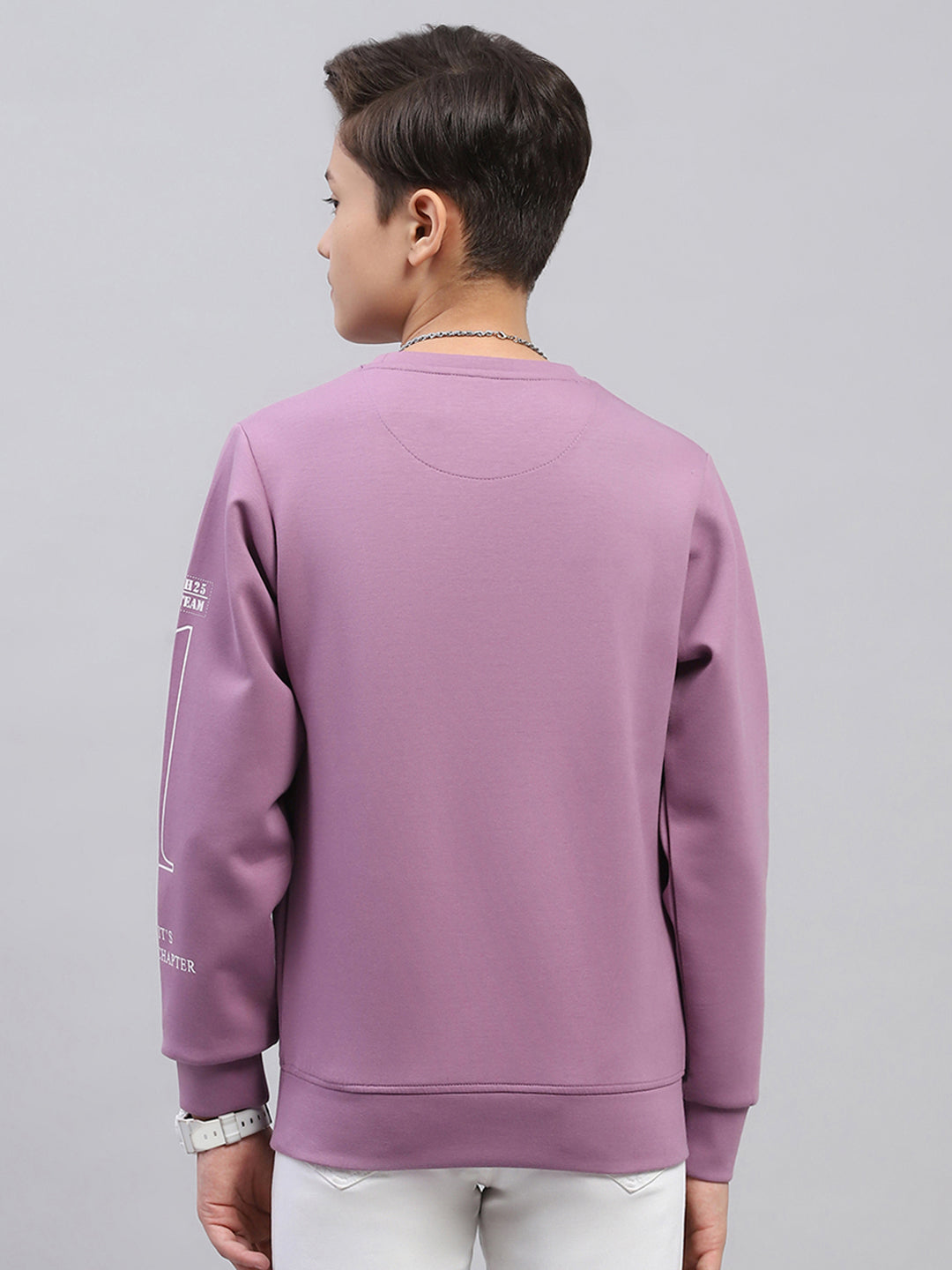 Boys Mauve Printed Round Neck Full Sleeve Sweatshirt