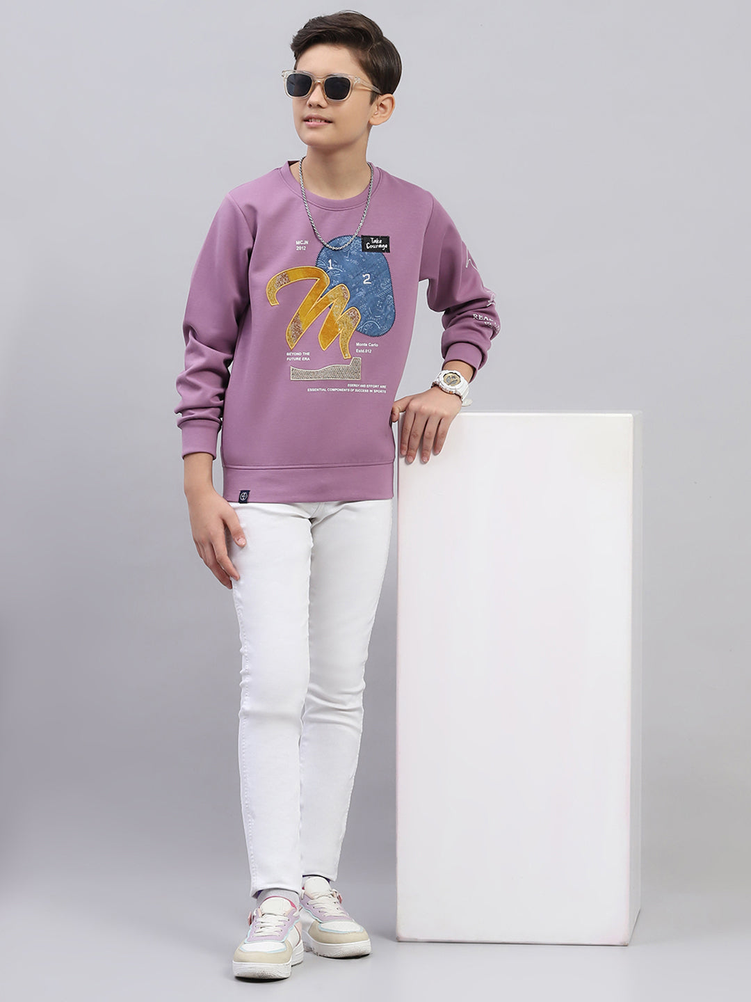 Boys Mauve Printed Round Neck Full Sleeve Sweatshirt