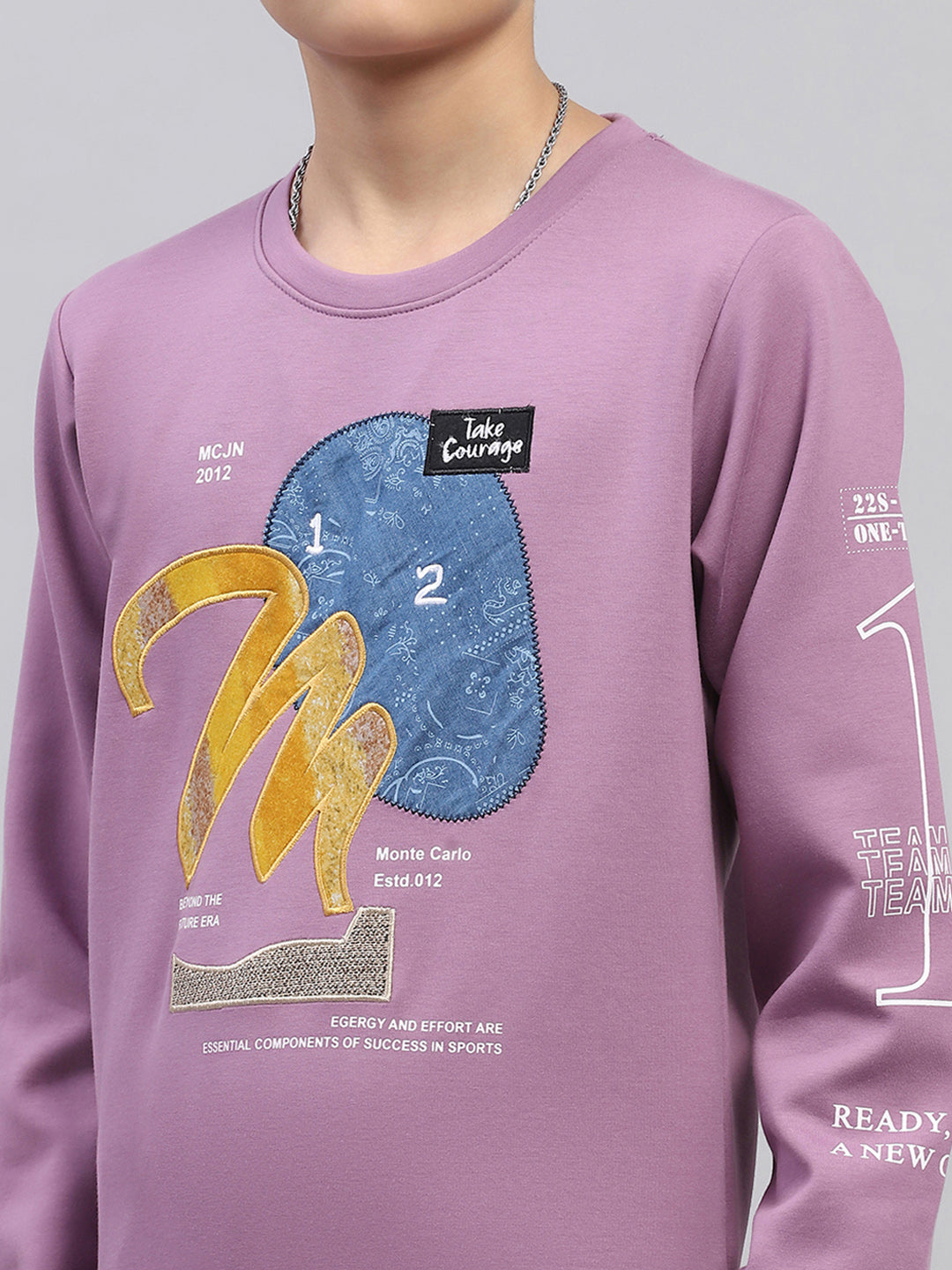 Boys Mauve Printed Round Neck Full Sleeve Sweatshirt