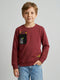Boys Rust Back Printed Round Neck Full Sleeve Sweatshirt