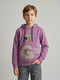Boys Mauve Printed Hooded Full Sleeve Sweatshirt