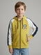 Boys Yellow Printed Hooded Full Sleeve Sweatshirt