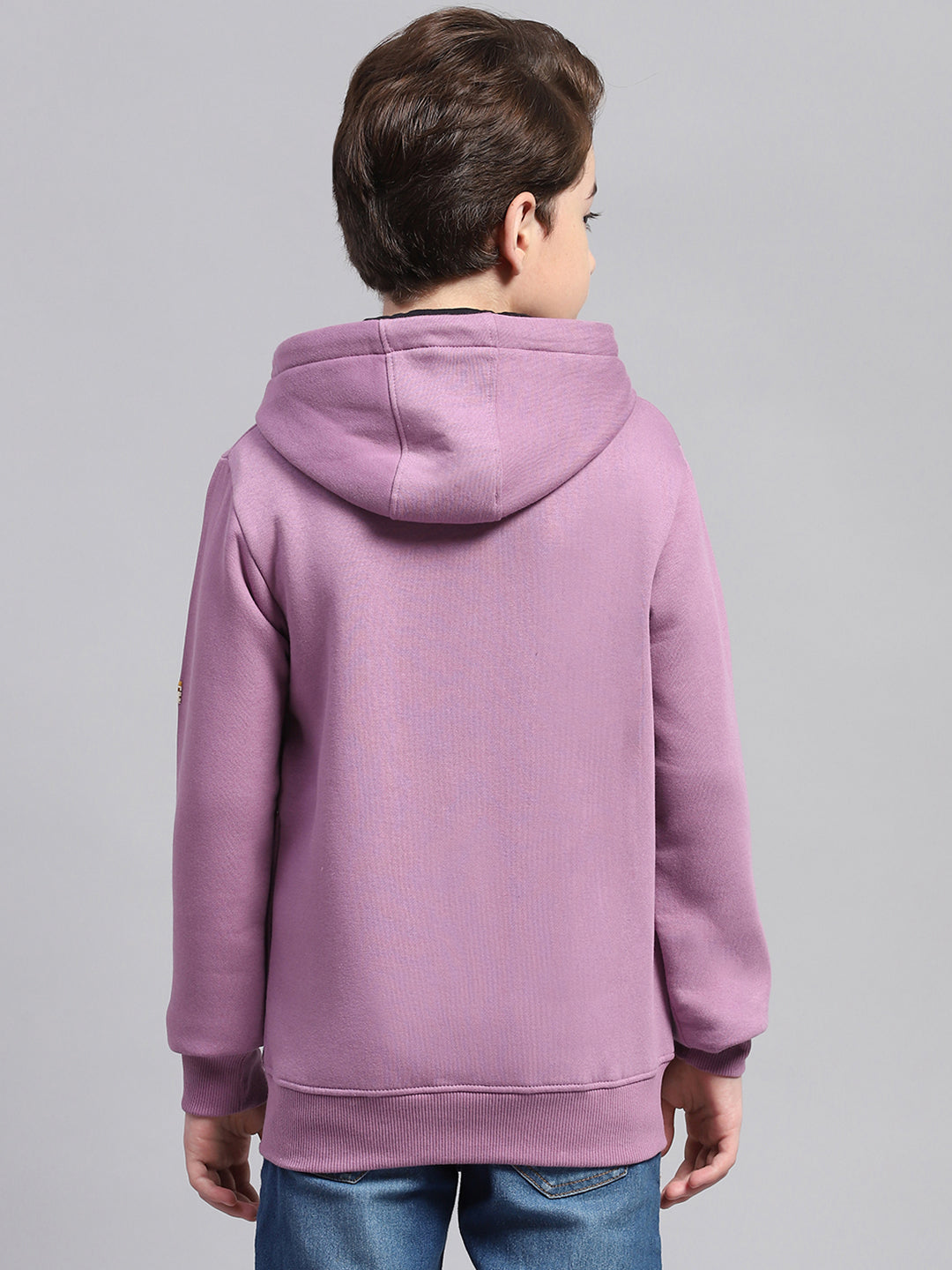 Boys Mauve Printed Hooded Full Sleeve Sweatshirt