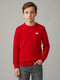 Boys Red Check Round Neck Full Sleeve Pullover