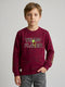 Boys Maroon Printed Round Neck Full Sleeve Sweatshirt